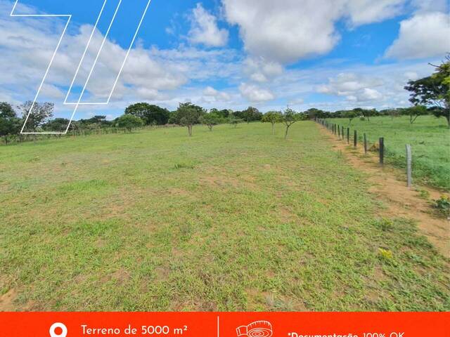#41 - Chácara para Venda em Anápolis - GO - 1
